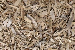 biomass boilers Carlidnack